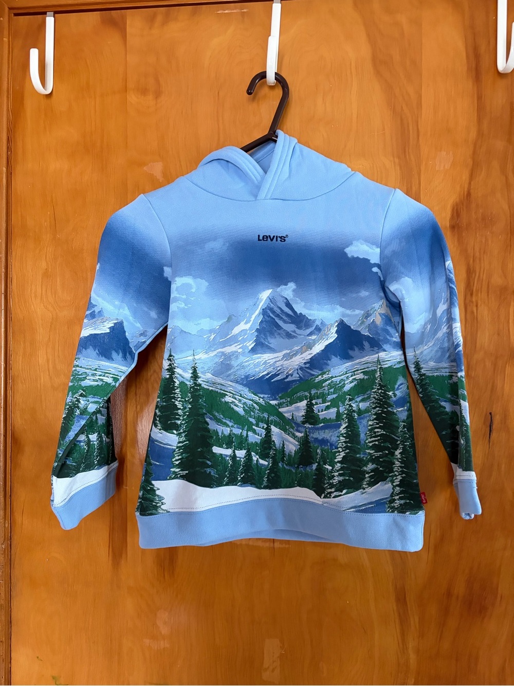 Levi's  Boys Light Blue Mountain-Print Hoodie Sweater